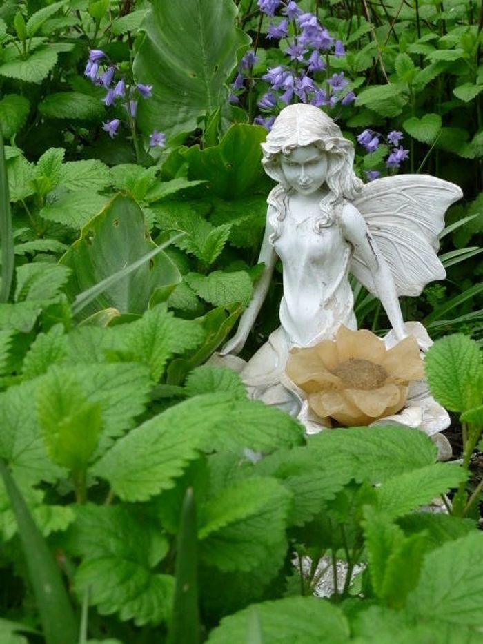 Olde Thyme Herbal, LLC Nature Medicine, Home Remedies, Herbs